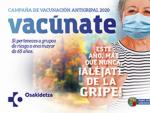 Cartel de la campa&ntilde;a de la vacunaci&oacute;n contra la gripe en Euskadi