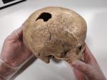 Cráneo hallado en el yacimiento de Cova Foradada de Calafell (Tarragona)