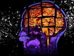 Foto recurso. Cerebro, enfermedad de Alzheimer.