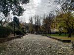 Árboles en el Parque del Príncipe de Cáceres