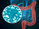 La microbiota intestinal juega un papel en la funci&oacute;n cerebral y la regulaci&oacute;n del estado de &aacute;nimo, seg&uacute;n un estudio