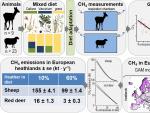 Demuestra que las plantas eric&aacute;ceas reducen las emisiones de metano producidas por ovejas y ciervos