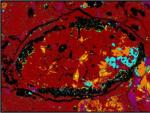 Esta micrograf&iacute;a de falso color de la muestra de meteoroide muestra los cristales anf&iacute;boles inesperados identificados en naranja