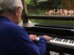 El pianista tocando en el zoo de Colombia.