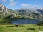 Se trata de tres lagos de origen glacial, el Enol, el Ercina y el Bricial (este último solo tiene agua durante el deshielo) que se encuentran en la parte asturiana de los Picos de Europa, cerca de Cangas de Onís. Son de una gran belleza, rodeados de montaña y se encuentran en un paraje espectacular.