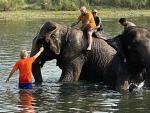 Kiko Rivera y Jes&uacute;s Calleja, en Nepal, en una experiencia con elefantes.