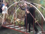 Estudiantes de la Universidad de Canterbury (Nueva Zelanda) se someten a su prueba de construir un puente.