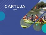 Las instalaciones deportivas de la Junta en la Cartuja ofertan un amplio n&uacute;mero de actividades en verano