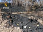 Dos nuevos investigados por incendios forestales en S&aacute;mano e Isla que quemaron m&aacute;s de 20 hect&aacute;reas