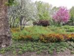 Los Jardines de los Palacios de la Finca Vista Alegre reabren al p&uacute;blico el 1 de mayo