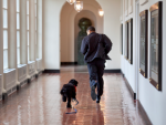 Foto que comparti&oacute; Barack Obama con su fallecido perro Bo.