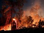 Una parte del Amazonas en llamas. Fernando Bizerra (EFE).