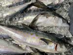 El pescado azul es una gran fuente de &aacute;cidos grasos omega-3, que promueven la liberaci&oacute;n de &oacute;xido n&iacute;trico, un vasodilator.