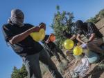 Varios palestinos llenas unos globos de gas refrigerante, muy inflamable, antes de ser lanzados hacia territorio israel&iacute;.