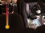 Los niños y las mascotas sufren golpes de calor en los coches.
