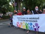 Colectivos y grupos de activistas por los derechos de las personas LGTBI se manifiestan en Madrid