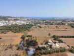 Un incendio ya estabilizado afecta en Ibiza a una zona agr&iacute;cola y de ca&ntilde;as