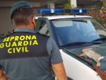 La Guardia Civil propone para sanci&oacute;n a un hombre por dar muerte a una coneja reci&eacute;n parida