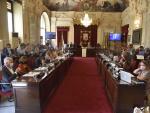 El Ayuntamiento avanzará en el Plan Málaga Litoral sin consulta ciudadana pero con participación