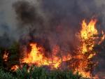 Incendio en Varybobi (Grecia) el 3 de agosto de 2021.