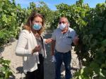 Carmen Crespo destaca el proyecto de vitivinicultura circular que coordina el centro Rancho de la Merced de Jerez