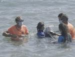 Asisten a un delf&iacute;n varado en la playa de La Pobla de Farnals con una grave infecci&oacute;n