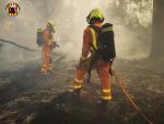 Extinguido el incendio forestal declarado en Chiva (Valencia)