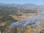 Incendios.- Estabilizado el incendio forestal en Manilva