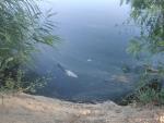 IU advierte de la "falta de limpieza" en los estanques del Parque de Miraflores