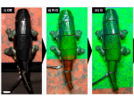El robot cambia de color r&aacute;pidamente, casi como un camale&oacute;n.
