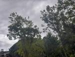 Previsiones meteorol&oacute;gicas del Pa&iacute;s Vasco para hoy, d&iacute;a 16