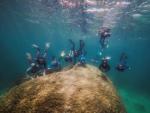 Submarinistas hallan un enorme coral de 400 a&ntilde;os en Gran Barrera australiana