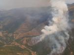 De momento no hay riesgo para la población en un incendio que afecta a pinar, bosque mixto y matorral
