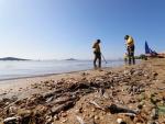 Operarios retiran del mar los peces muertos que han aparecido en las playas del Mar Menor en Murcia.