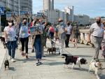 Concentraci&oacute;n canina en Riazor (A Coru&ntilde;a) para pedir el &quot;acceso total&quot; de los animales a las playas