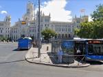 Varias paradas de autobuses de la EMT en la plaza de Cibeles, Madrid.