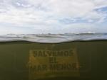 Greenpeace culpa al Tajo-Segura del estado del Mar Menor y pide el trasvase cero y reducir regad&iacute;os en Murcia