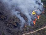El coste de la extinci&oacute;n de incendios alcanza los 61,5 millones, un &quot;disparate&quot; para los ecologistas Arco Iris