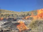 Incendios.-Controlado el incendio forestal en el paraje Montellano de G&eacute;rgal
