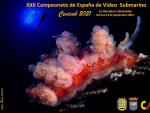 La Herradura acoge desde este miércoles el Campeonato de España de Vídeo Submarino con 14 equipos