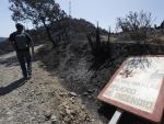 Incendios.- El PP pide al Gobierno que Sierra Bermeja sea declarada zona catastr&oacute;fica y que active las ayudas