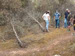 UP reclama a la Junta actuaciones en los pinares de Badolatosa y Corcoya y dinamizar la zona
