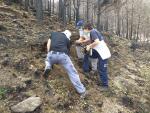 Investigadores del CIF gallego colaboran en la evaluaci&oacute;n del impacto en el suelo del incendio de Navalacruz