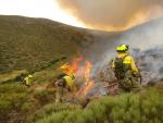 Seis incendios forestales que han arrasado 120 hect&aacute;reas, balance semanal de actuaciones del Plan Infoex