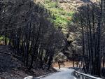 Adelante Andalucía lleva al Senado una proposición de ley para proteger Sierra Bermeja como Parque Nacional