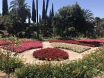 El Ayuntamiento de Málaga adjudica el espectáculo navideño en el Jardín Botánico a una empresa especializada