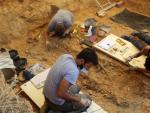 Concluye "sin resultados" la excavación del cementerio de Gines en busca de dos mujeres ejecutadas en el 36