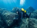 El proyecto de censos visuales de pescados vulnerables realiza 19 informes de siete reservas marinas de Baleares