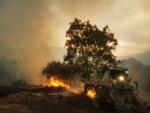 Gobierno aprueba 299.952 euros para la recuperaci&oacute;n ambiental de las zonas afectadas por el incendio de El Tiemblo