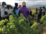 Guardia Civil en La Rioja intensifica actuaciones contra la explotaci&oacute;n laboral y trata de personas durante la vendimia